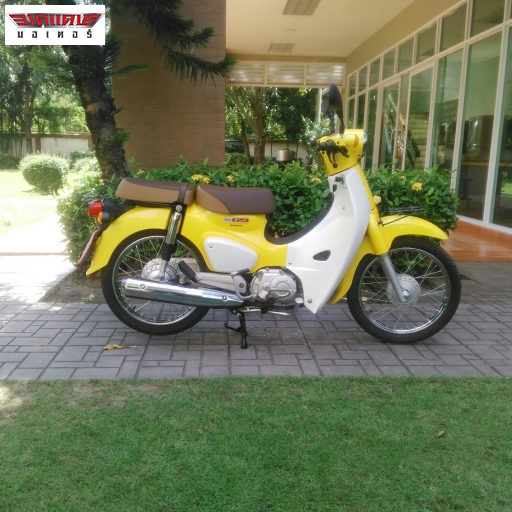 Super Cub